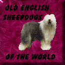 Click here to join The OESW Ring